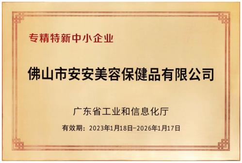 專(zhuān)精特新中小企業(yè)